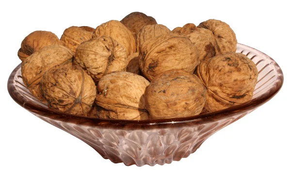 Walnut — Stock Photo, Image