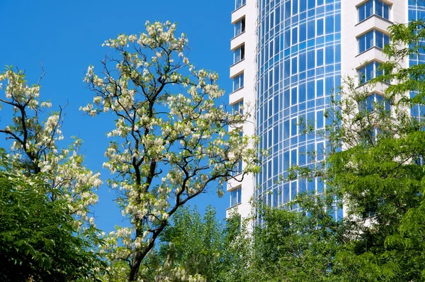 stock image Green city landscape