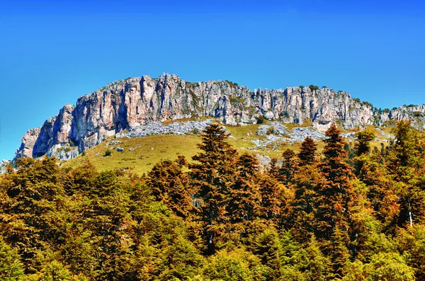 Hoge-bergachtige plateau — Stockfoto