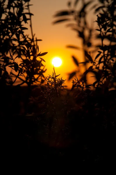Východ slunce — Stock fotografie