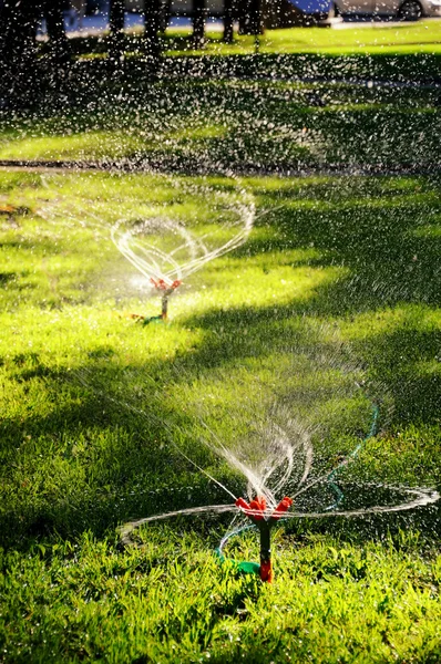 自動散水のスプリンクラー — ストック写真