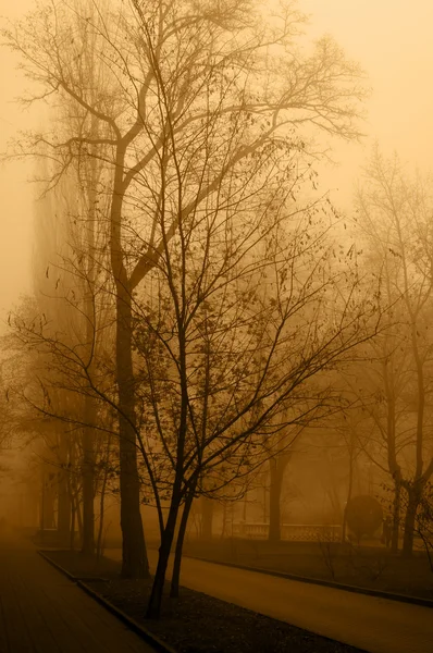 stock image Morning fog on city avenue