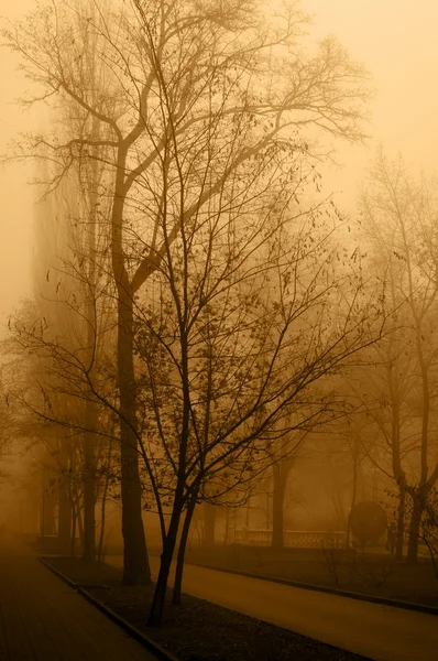 Brouillard matinal sur l'avenue de la ville Images De Stock Libres De Droits