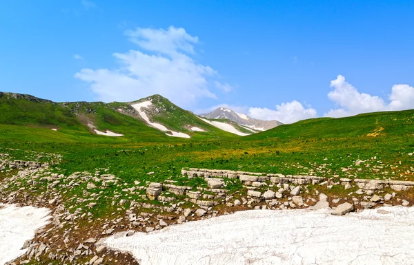Альпийский луг — стоковое фото