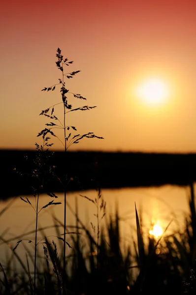 Схід сонця на річці — стокове фото