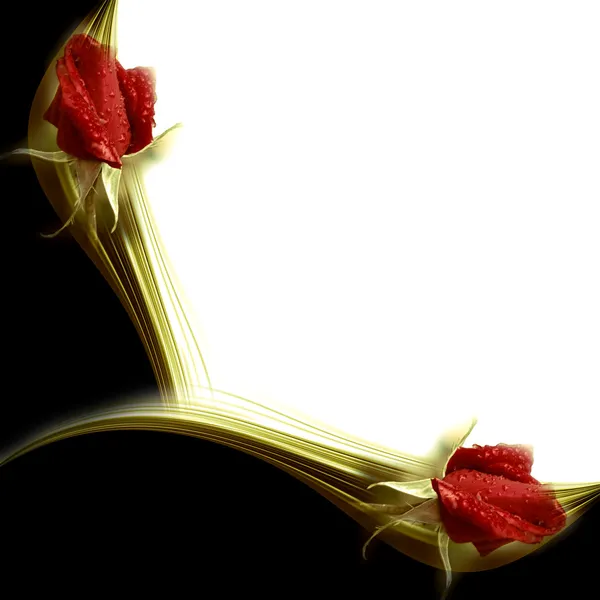 Invitation elegant red roses — Stock Photo, Image