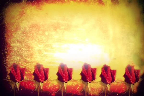 빈티지 웨딩 카드, 6 빨간 장미 — 스톡 사진