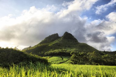 Mauritius