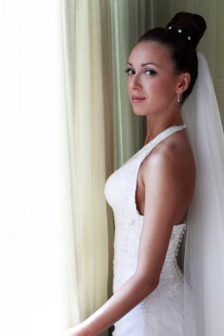 Beautiful bride clipart