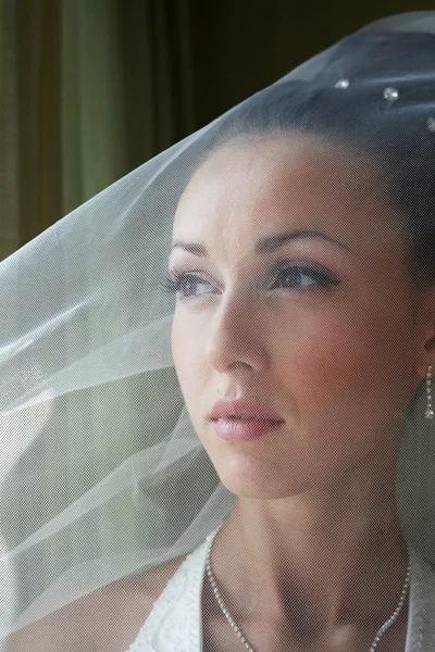 Portrait of the beautiful bride in a veil — Stock Photo, Image