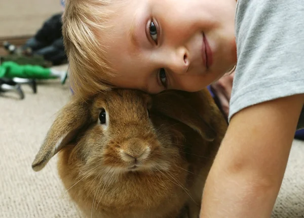 Хлопчик з кроликом — стокове фото