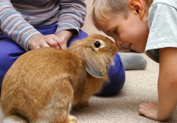 男孩与兔子 — 图库照片