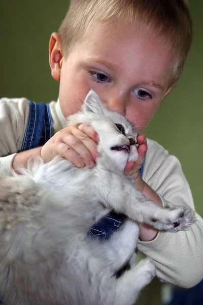 The boy plays with a kitten — Stock Photo, Image