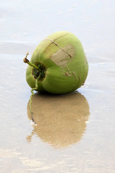 Kokosnuss am Strand — Stockfoto