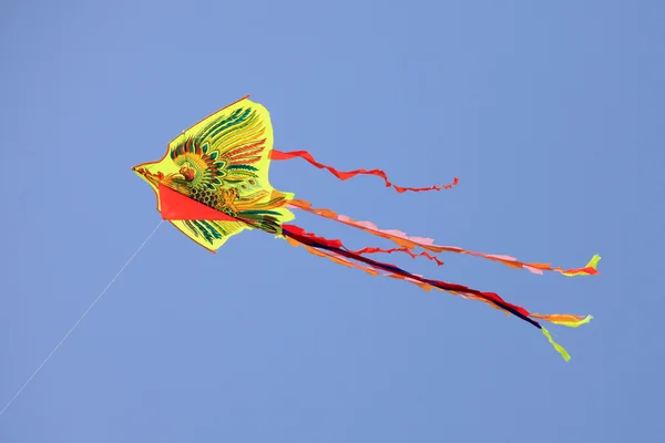 ドラゴン凧 — ストック写真