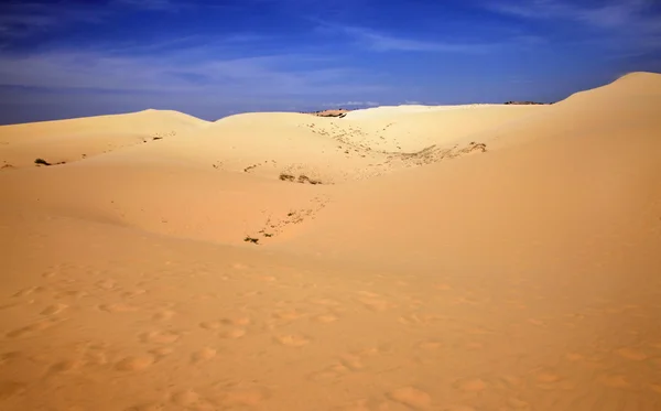 Paesaggio desertico — Foto Stock