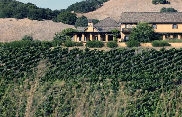 Napa valley wijngaard, Californië — Stockfoto