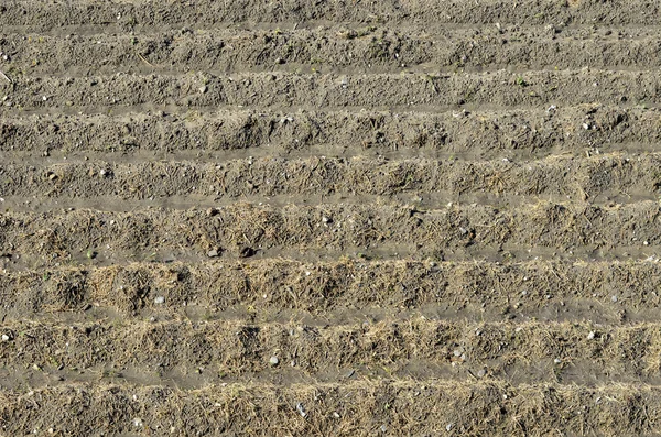 Plowed soil — Stock Photo, Image
