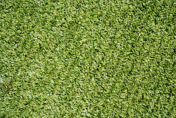 stock image All weather football field syntethic green grass