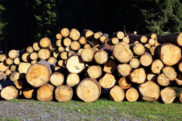 stock image Stacked logs and trunks ready for sawing