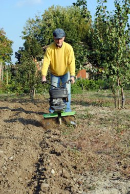 Middle age man with a rototiller in the garden clipart