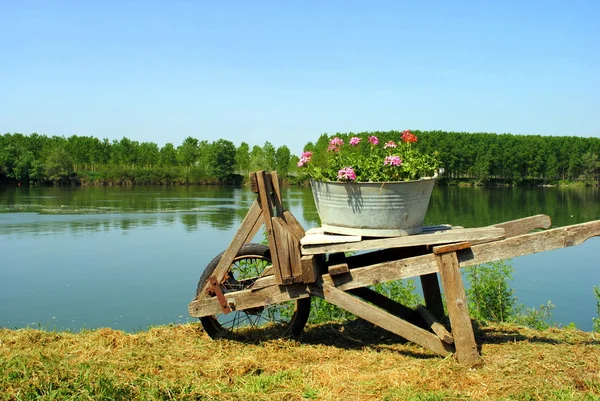 Old wooden wheel barrow with flowers close to river — Stock Photo, Image
