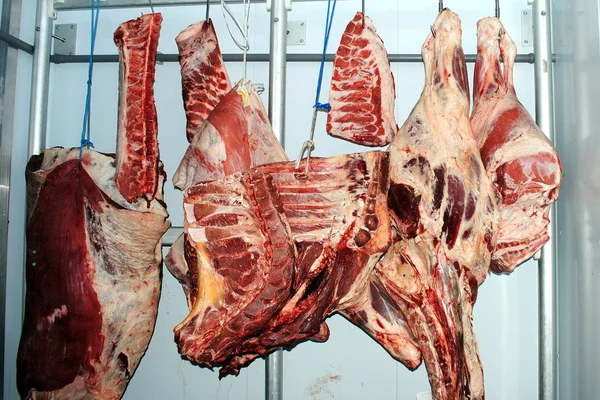 A fagyasztóhelyiség tehén, borjú- és sertéshús oldalán — Stock Fotó