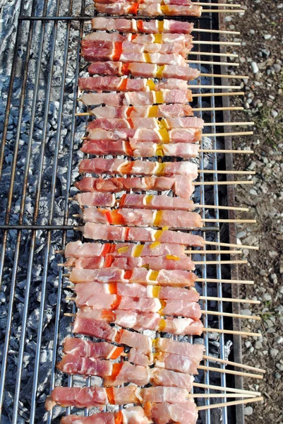 Raw pork kabobs grill on skewers on a barbecue — Stock Photo, Image