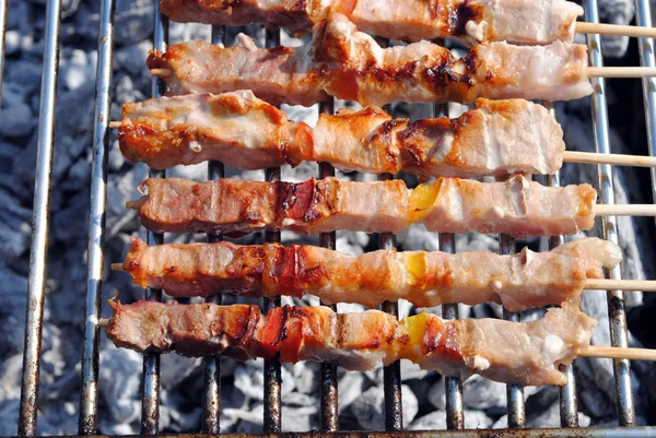 Cocked pork kabobs grilled on skewers on a barbecue — Stock Photo, Image