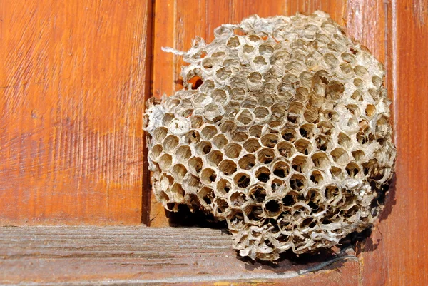 ahşap bir penceredeki boş arı kovanı