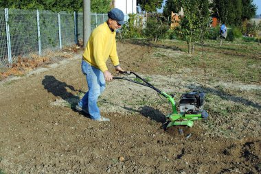 Middle age man with a rototiller in the garden clipart