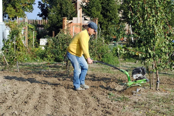 Мужчина средних лет с рототиллером в саду — стоковое фото