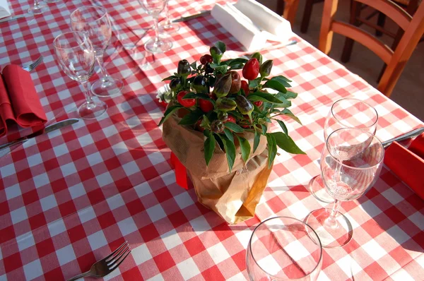 Γαμήλιο τραπέζι με μια μικρή κατσαρόλα με πιπεριές Royalty Free Φωτογραφίες Αρχείου
