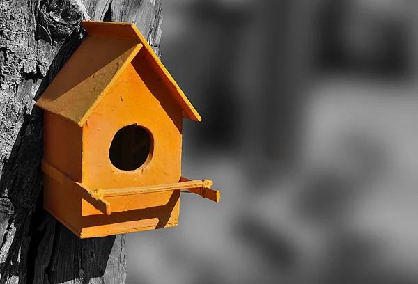 Orange bird house — Stock Photo, Image