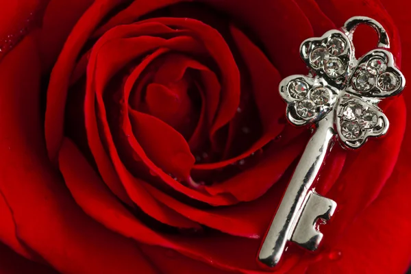 Jóia chave em pétalas de rosa vermelha — Fotografia de Stock