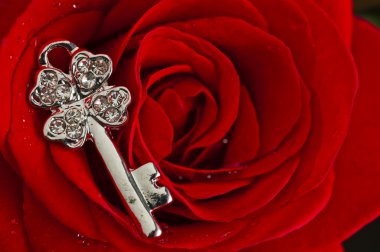 Key jewel on red rose petals clipart