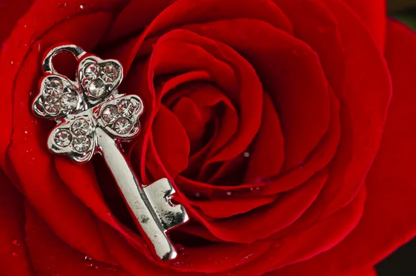 Gioiello chiave su petali di rosa rossa — Foto Stock