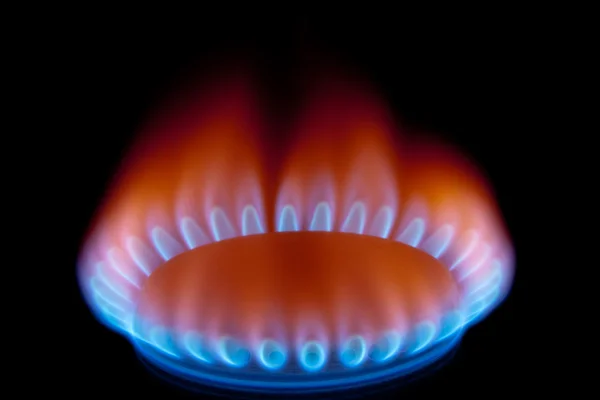 stock image Flame gas stove