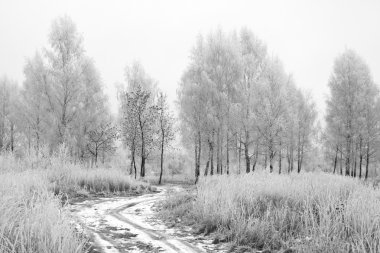 Country road in winter wood clipart