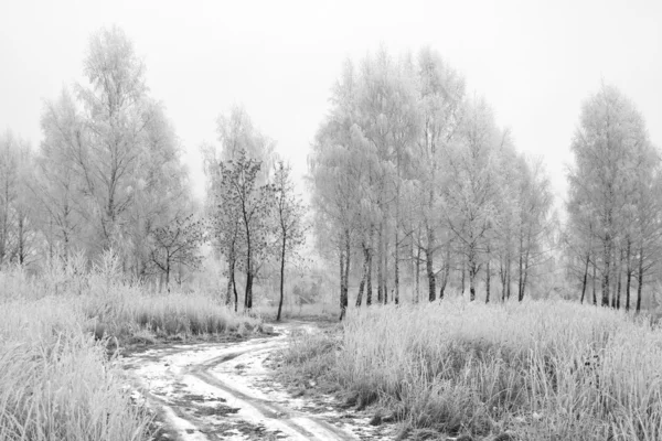 Деревенская дорога в зимнем лесу — стоковое фото