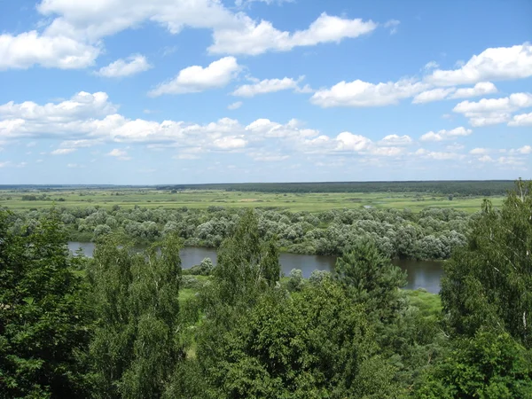 Sommarlandskap — Stockfoto