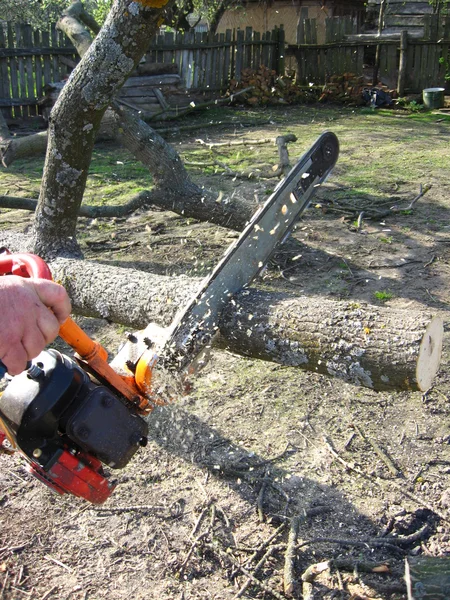 Stock image The man working with petrol saw