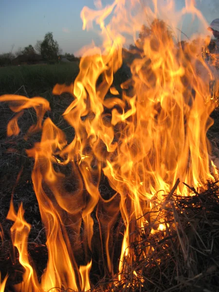 Fuego en el campo — Foto de Stock