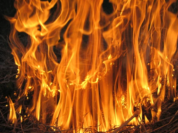 Fuego en el campo —  Fotos de Stock
