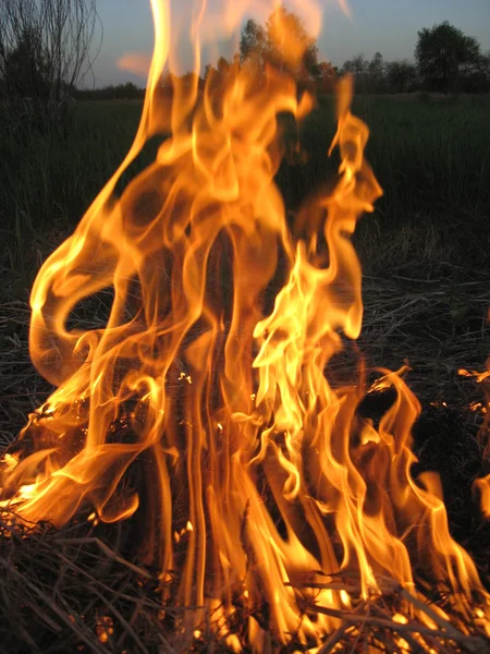 Feuer auf dem Feld — Stockfoto