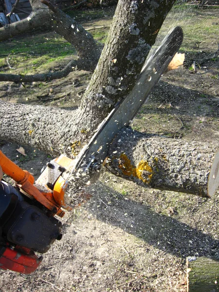 stock image The man working with petrol saw