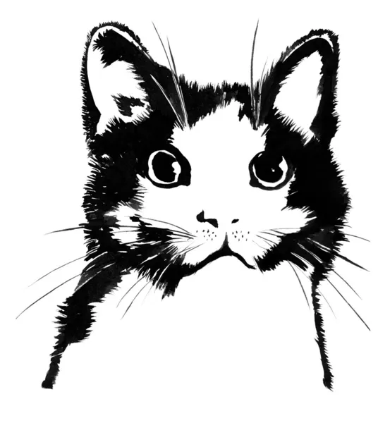 Силуэт кошки — стоковое фото