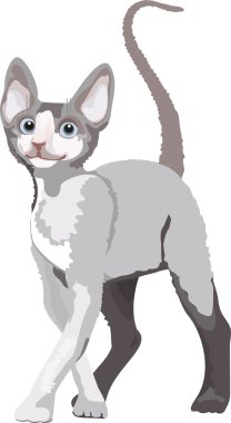 Vector realistic cat clipart