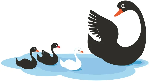 En familj av svanar: vektor illustration. — Stock vektor
