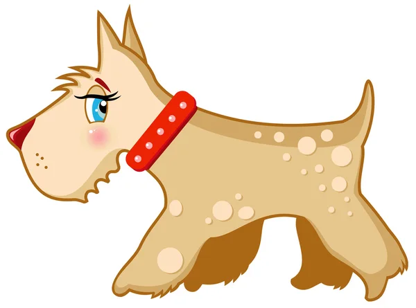 Chien vecteur Schnauzer terrier — Image vectorielle